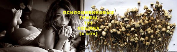 шишки Алексин