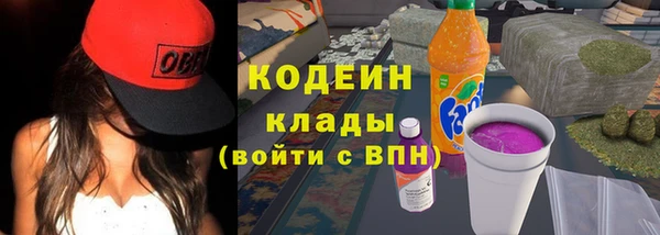 прущие грибы Алексеевка