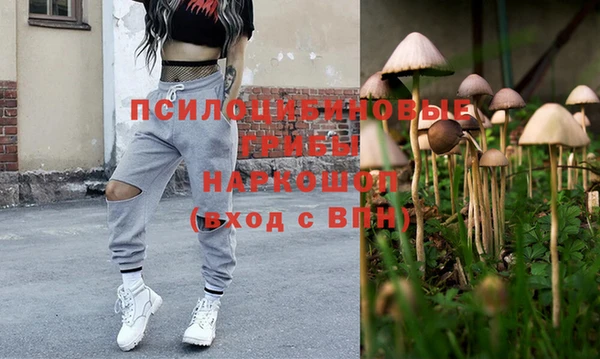 шишки Алексин