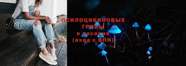 соль курить ск Алзамай