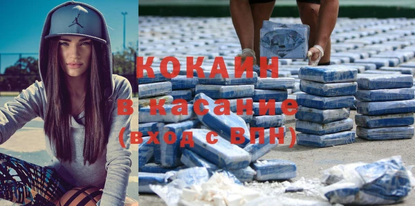 шишки Алексин