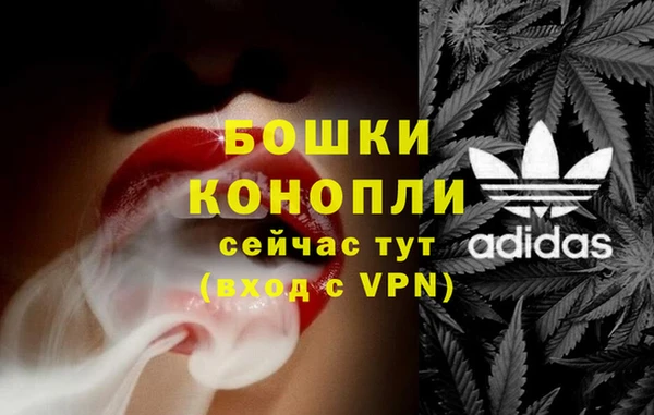 шишки Алексин