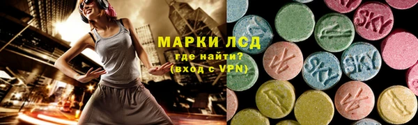 прущие грибы Алексеевка