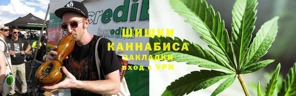 шишки Алексин